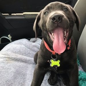 Meet your Posher, Julia